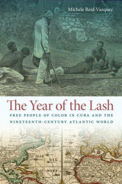 The Year of the Lash