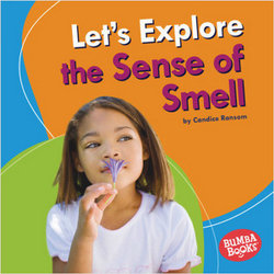 Let's Explore the Sense of Smell