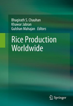 Rice Production Worldwide