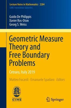 Geometric Measure Theory and Free Boundary Problems