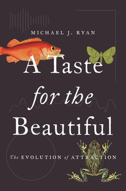 A Taste for the Beautiful