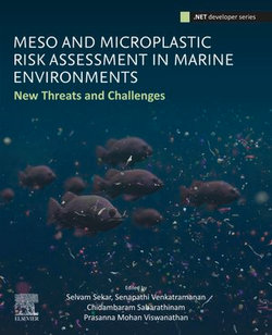 Meso and Microplastic Risk Assessment in Marine Environments