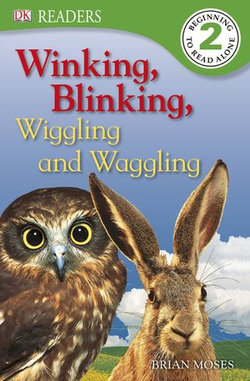 Winking, Blinking, Wiggling and Waggling