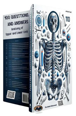 100 Questions and Answers About Anatomy of Upper and Lower Limb