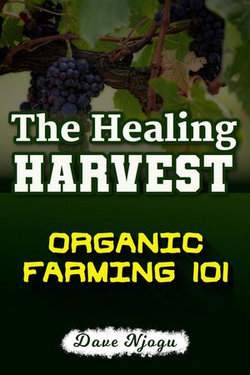 The Healing Harvest: Organic Farming 101