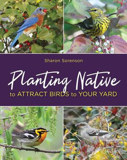 Planting Native to Attract Birds to Your Yard