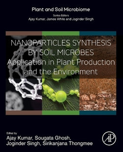 Nanoparticles Synthesis by Soil Microbes