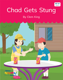 Chad Gets Stung (Set 8.1, Book 5)