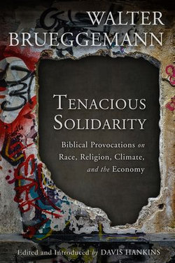 Tenacious Solidarity: Biblical Provocations on Race, Religion, Climate, and the Economy