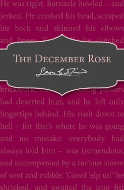 The December Rose