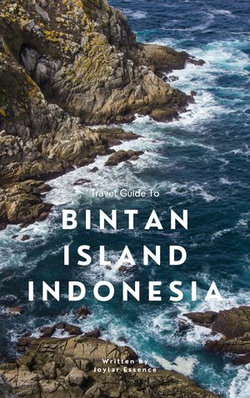 Travel Guide To Bintan Island, Indonesia: The Hidden Gems You Need to See