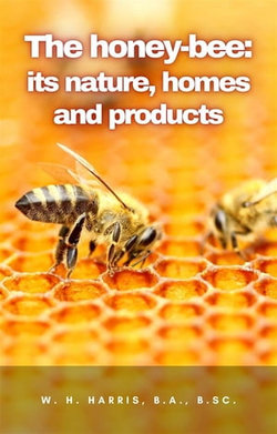 The honey-bee: its nature, homes and products