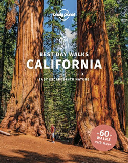 Lonely Planet: Best Day Walks California