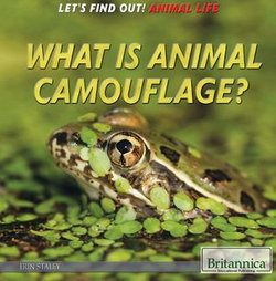 What Is Animal Camouflage?