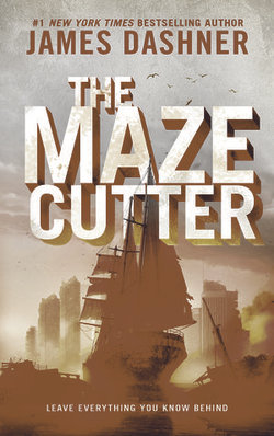 The Maze Cutter