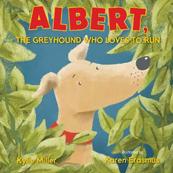 Albert, The Greyhound Who Loves to Run