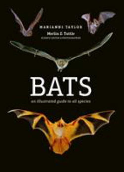 Bats