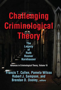 Challenging Criminological Theory