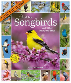 Audubon Songbirds and Other Backyard Birds Picture-A-Day (R) Wall Calendar 2025