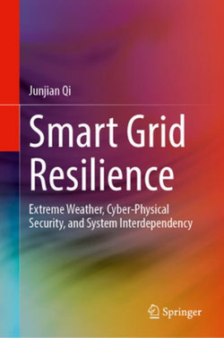 Smart Grid Resilience