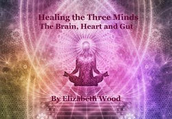 Healing the Three Minds - The Brain, Heart and Gut