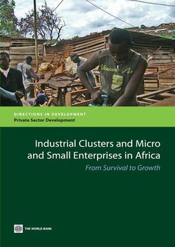 Industrial Clusters and Micro and Small Enterprises in Africa: From Survival to Growth