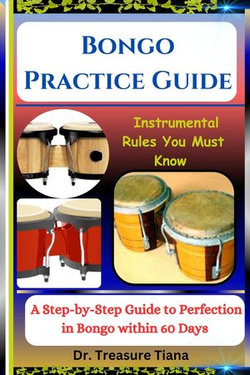 Bongo Practice Guide