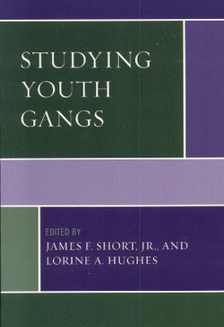 Studying Youth Gangs