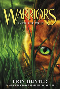 Warriors #1: into the Wild