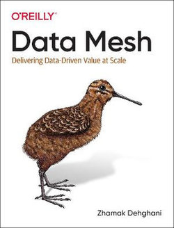 Data Mesh