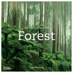 The Life & Love of the Forest