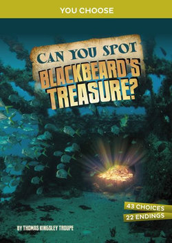 Can You Spot Blackbeard's Treasure?