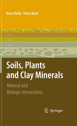 Soils, Plants and Clay Minerals