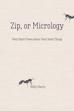 Zip, or Micrology