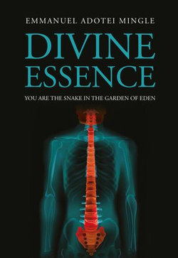 Divine Essence