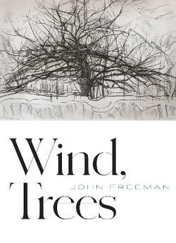 Wind, Trees