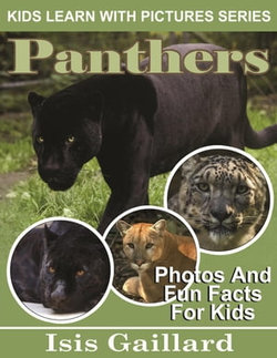 Panthers Photos and Fun Facts for Kids