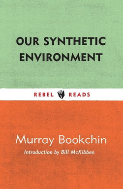 Our Synthetic Environment