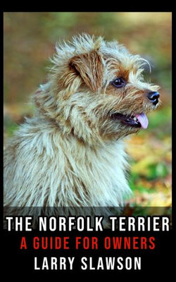 The Norfolk Terrier