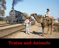 Trains and Animals