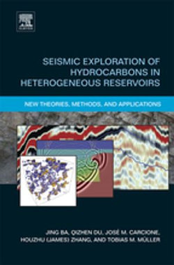 Seismic Exploration of Hydrocarbons in Heterogeneous Reservoirs