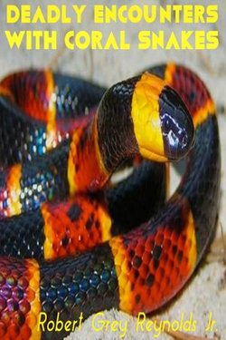 Deadly Encounters With Coral Snakes