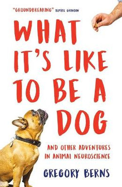 What It's Like to Be a Dog