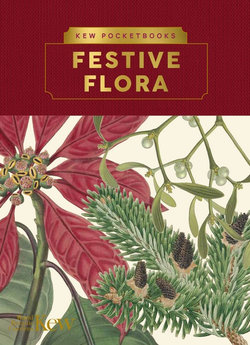 Kew Pocketbooks: Festive Flora