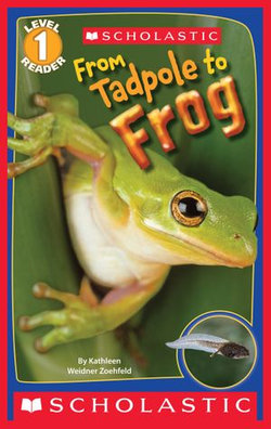 From Tadpole to Frog (Scholastic Reader, Level 1)