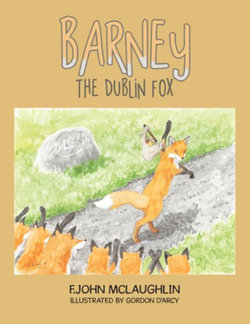 Barney the Dublin Fox