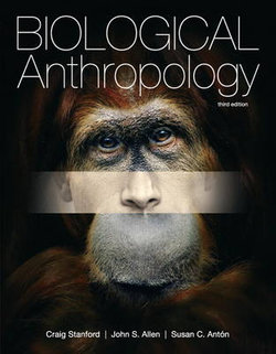 Biological Anthropology