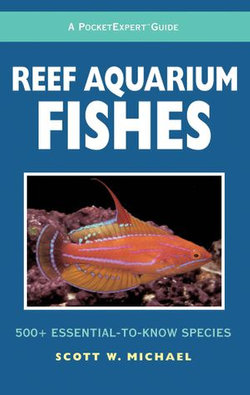 Reef Aquarium Fishes   