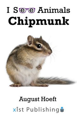 Chipmunk