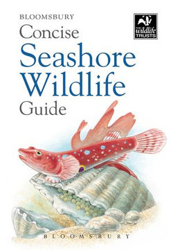 Concise Seashore Wildlife Guide